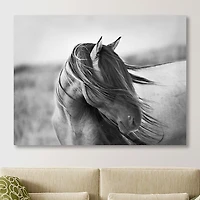 Fierce Grace Canvas Art Print