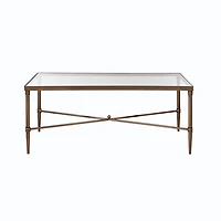 Glass and Metal Rectangle Porter Coffee Table