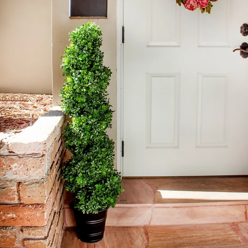 Boxwood Spiral Topiary, 48 in.