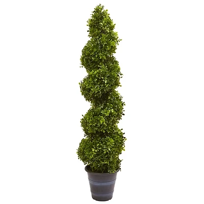 Boxwood Spiral Topiary, 48 in.