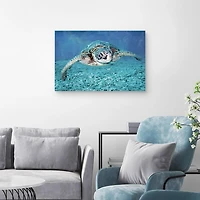 Vibrant Sea Turtle Canvas Art Print