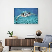 Vibrant Sea Turtle Canvas Art Print
