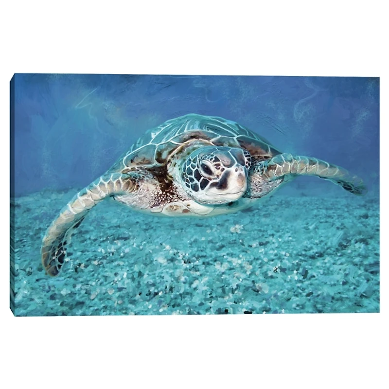 Vibrant Sea Turtle Canvas Art Print