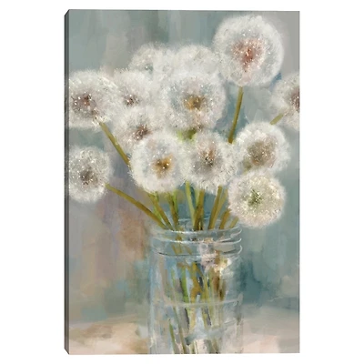 Mason Jar Wishes I Canvas Art Print