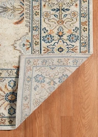 Light Beige Bohemian Area Rug, 5x7