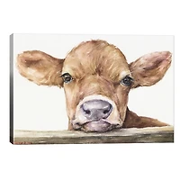 Calf Canvas Art Print, 26x18