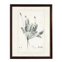 Astragalus Greenery Black Beaded Framed Art Print