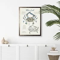 Nature Study of a Blue Crab Framed Art Print