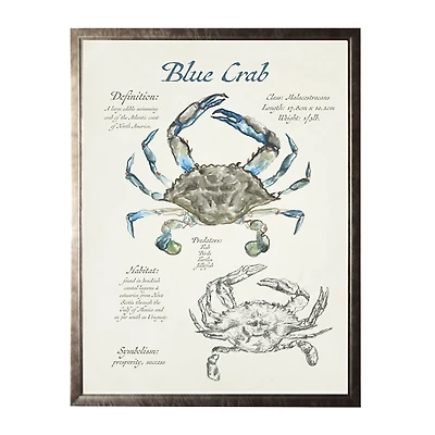 Nature Study of a Blue Crab Framed Art Print