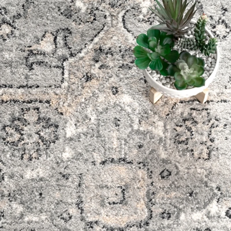 Gena Medallion Area Rug, 8x10