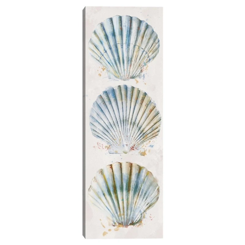 Shell Panel I Giclee Canvas Art Print