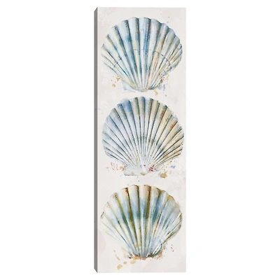 Shell Panel I Giclee Canvas Art Print