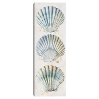 Shell Panel I Giclee Canvas Art Print