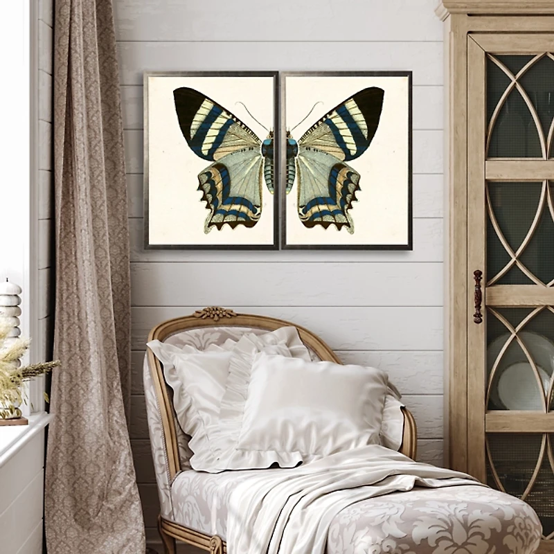 Diptych Butterfly Framed Art Print, Set of 2