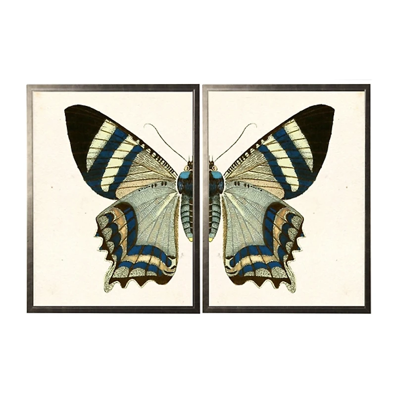 Diptych Butterfly Framed Art Print, Set of 2