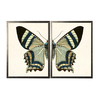 Diptych Butterfly Framed Art Print, Set of 2