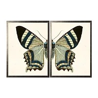 Diptych Butterfly Framed Art Print, Set of 2