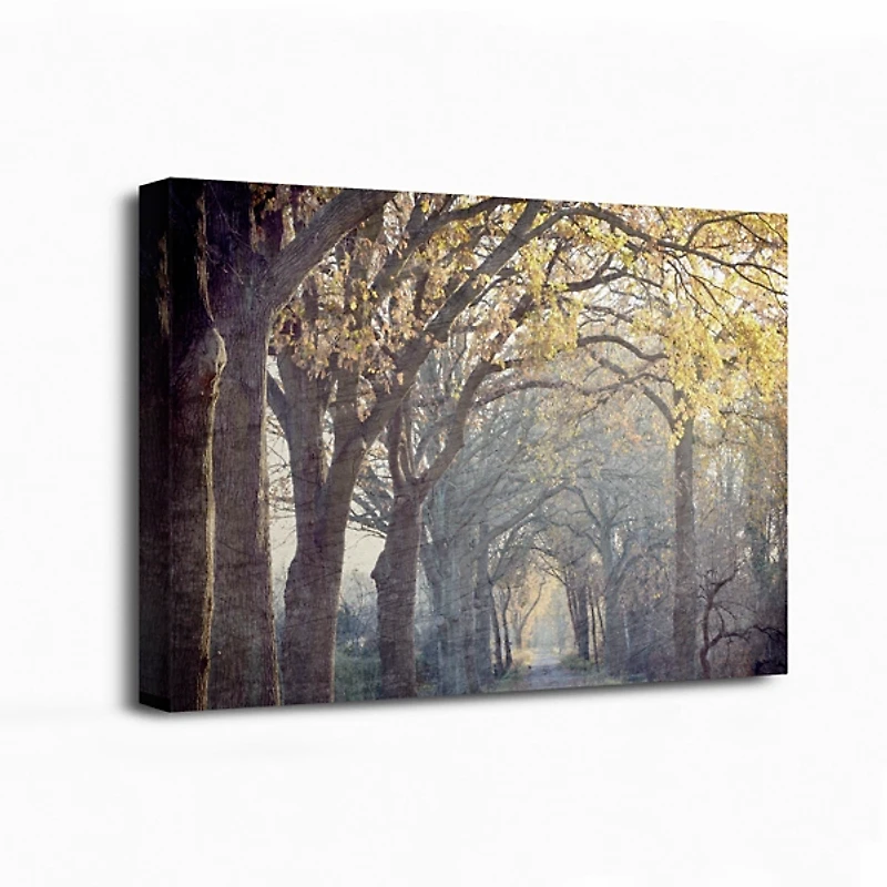 Avenue Of Trees Canvas Art Print