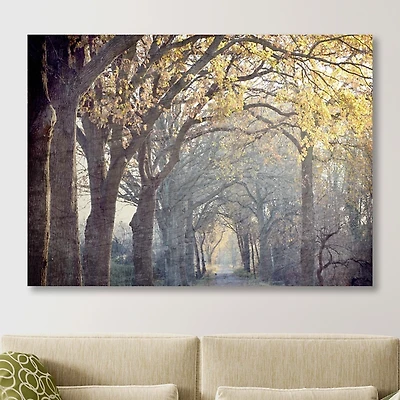 Avenue Of Trees Canvas Art Print