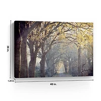 Avenue Of Trees Canvas Art Print
