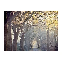 Avenue Of Trees Canvas Art Print