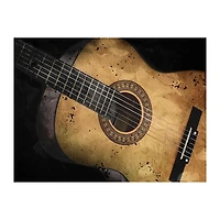 Acoustic Guitar Canvas Art Print