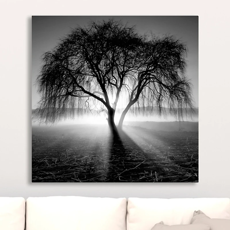 Lighting Tree Canvas Art Print