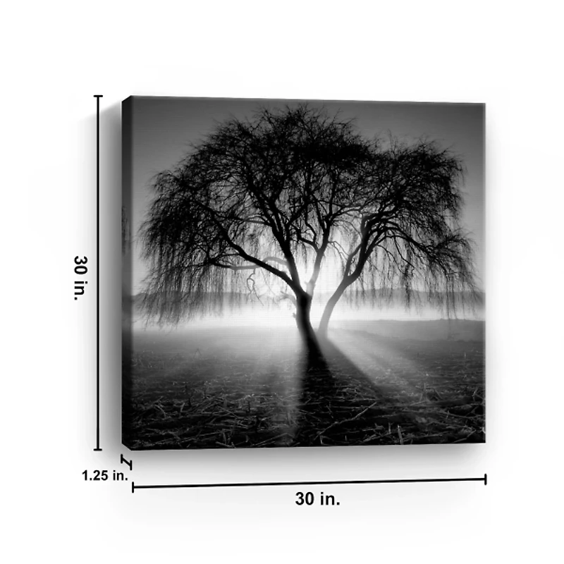 Lighting Tree Canvas Art Print
