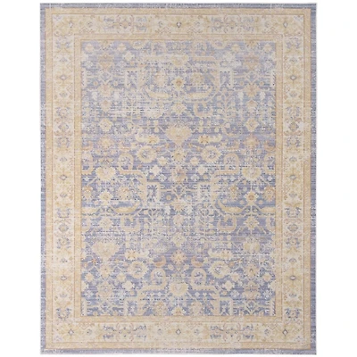 Cerulean Vintage Border Area Rug, 5x7