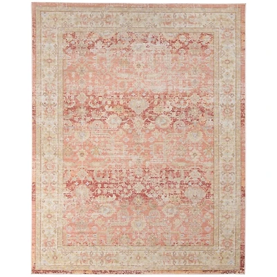 Salmon Vintage Border Area Rug, 8x11