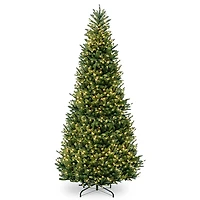 10 ft. Pre-Lit Natural Fraser Fir Christmas Tree
