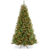 7 ft. Multi-Lit North Valley Spruce Christmas Tree