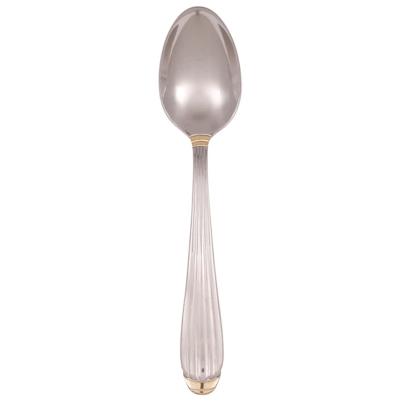 Silver Gold Tipped Parisian 20-pc. Flatware Set