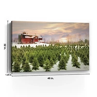 Red Barn and Christmas Tree Farm Canvas Art Print