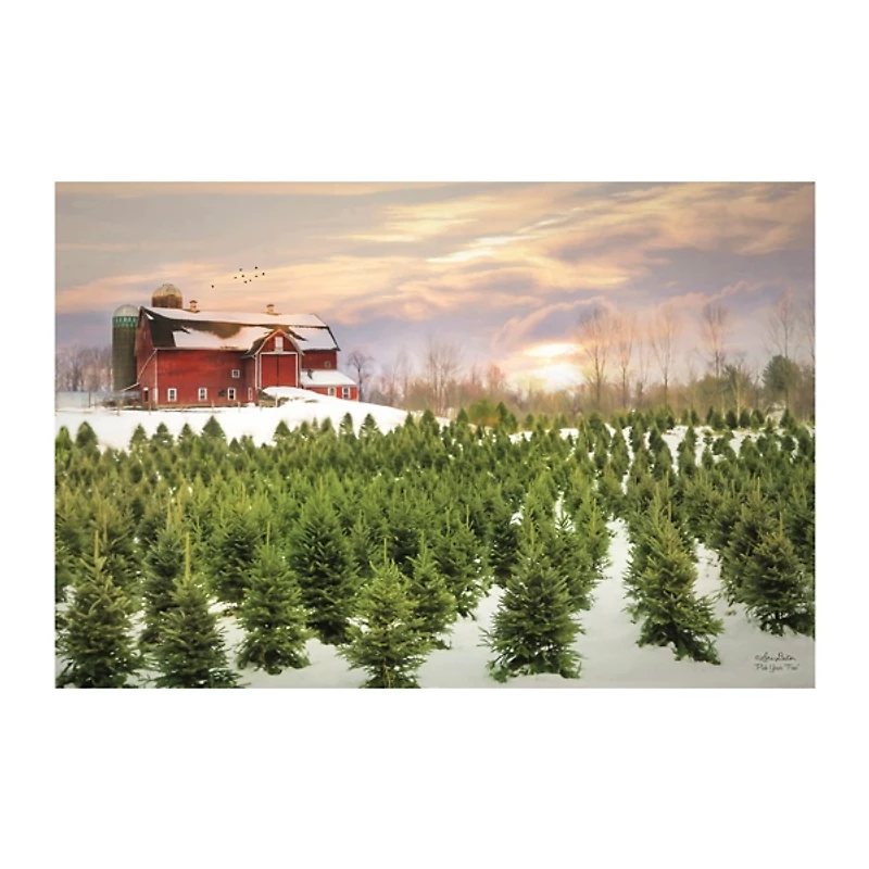 Red Barn and Christmas Tree Farm Canvas Art Print