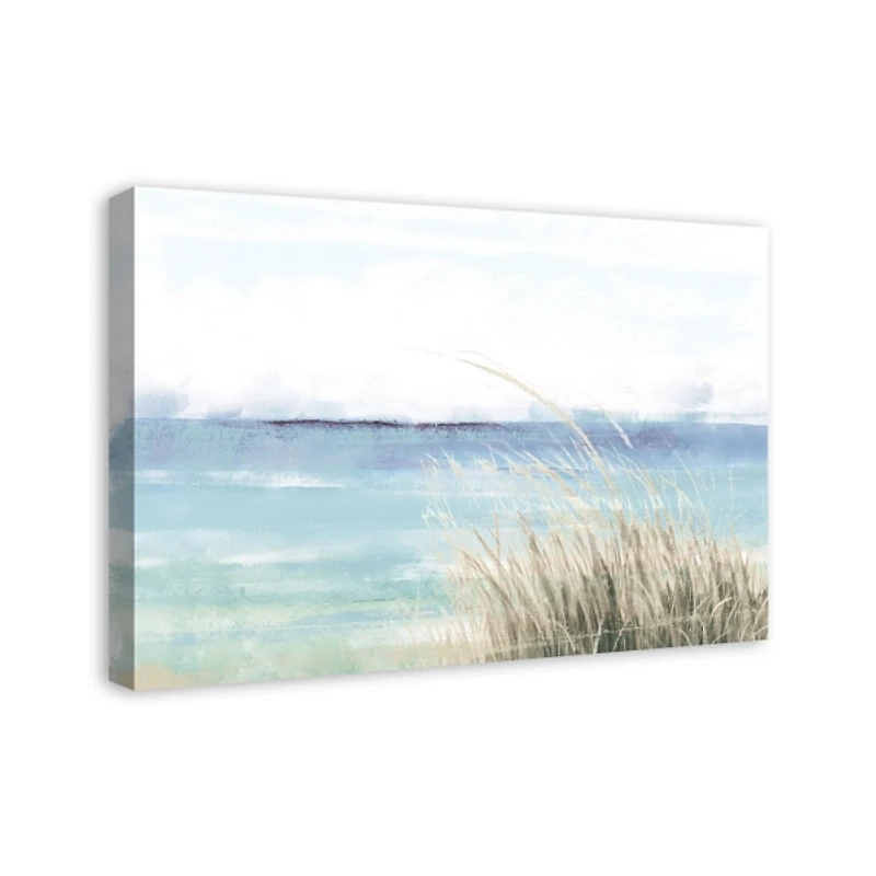 Seagrass Coast Canvas Art Print