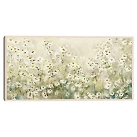 Daytime Daises Framed Canvas Art Print
