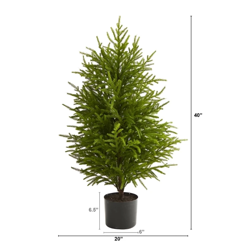 3 ft. Norfolk Island Pine Potted Christmas Tree