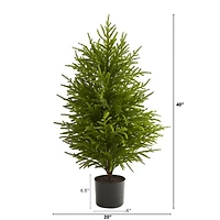 3 ft. Norfolk Island Pine Potted Christmas Tree