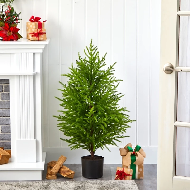 3 ft. Norfolk Island Pine Potted Christmas Tree