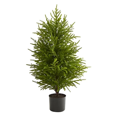 3 ft. Norfolk Island Pine Potted Christmas Tree