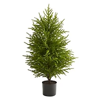 3 ft. Norfolk Island Pine Potted Christmas Tree
