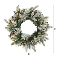 Flocked Evergreen and Mixed Berry LED Wreath