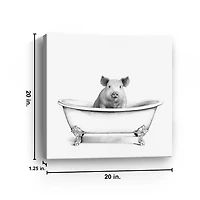 Clawfoot Pig Canvas Art Print, 20x20 in.
