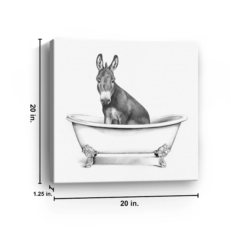 Clawfoot Donkey Canvas Art Print, 20x20 in.