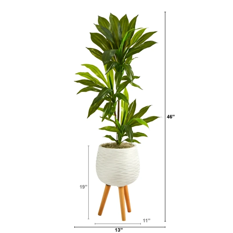 Real Touch Dracaena in Mossy Tripod Planter