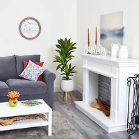 Real Touch Dracaena in Mossy Tripod Planter