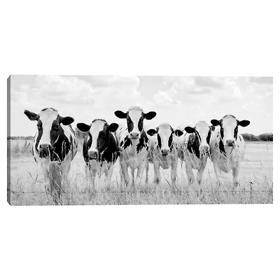 Grazing Cow Monochrome Canvas Art Print, 35x17 in.