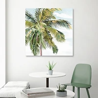 Tall Palm Canvas Art Print, 35x35 in.