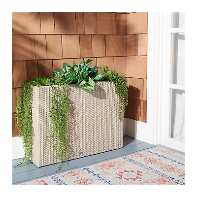 Brown Wicker Divided Planter